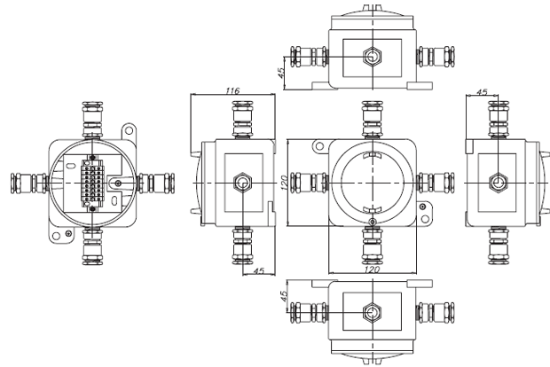 CCA(8C4)-1FALD1(A)-1FALD1(B)-1FALD1(C)-1FALD1(D)